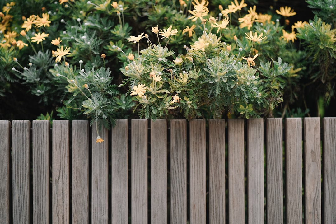 Weatherproofed fence in Edmond, OK