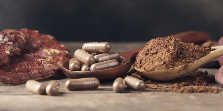 How Do Mushroom Supplements Contribute to Overall Well-Being? Guide 2023