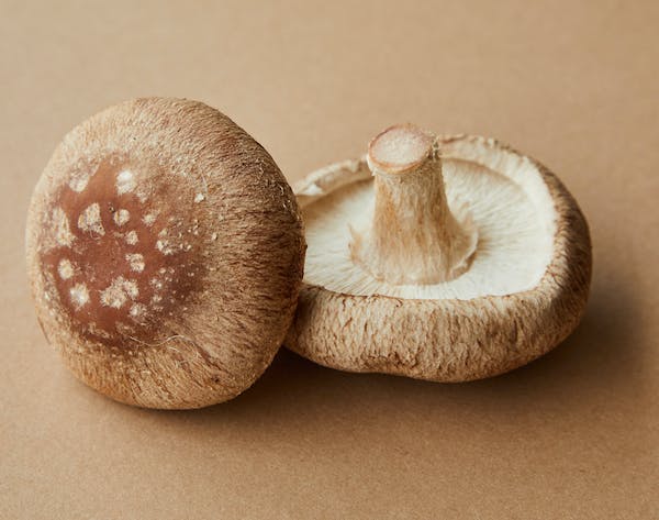 Mushroom-derived sweet treats